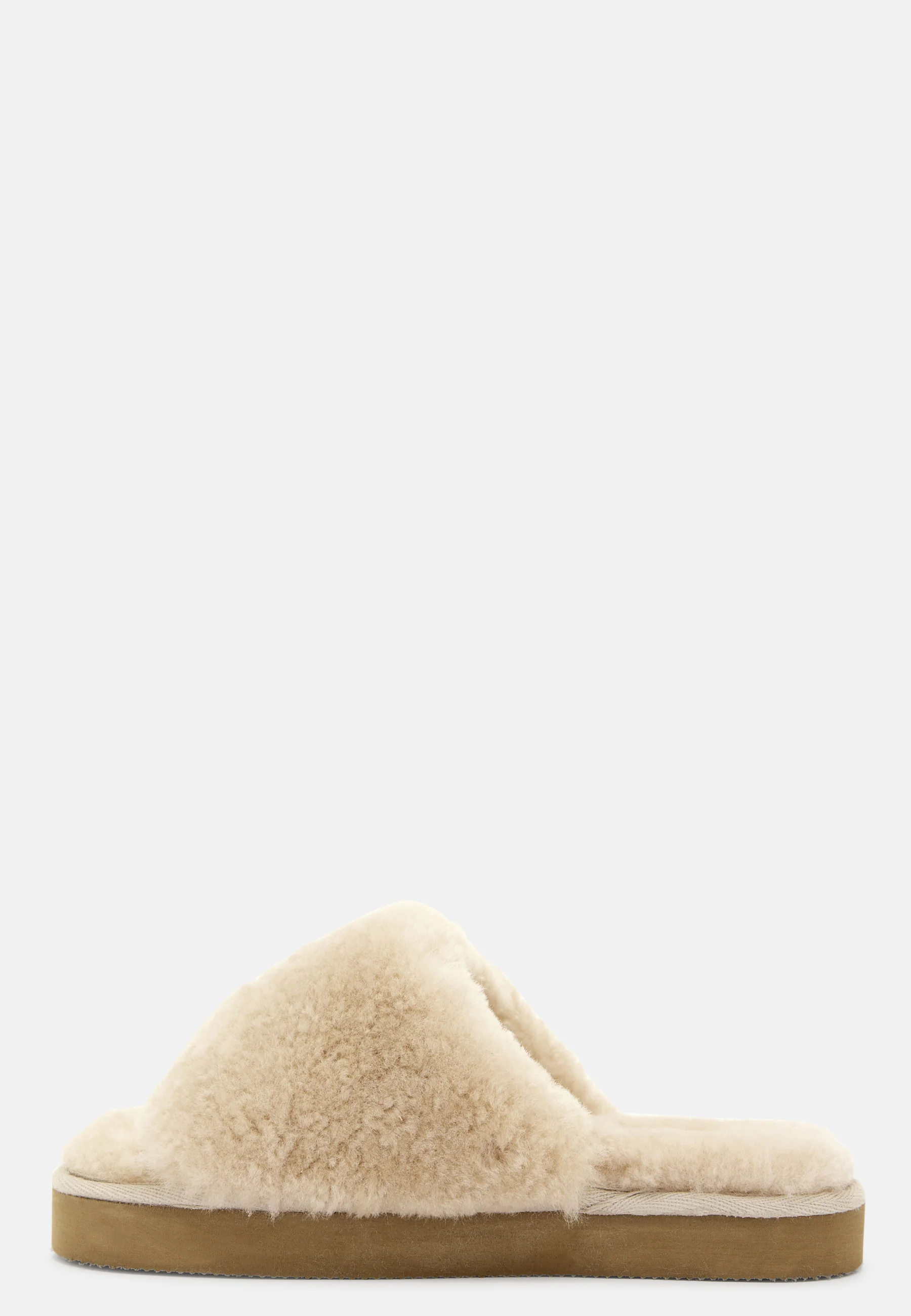 Lydia Toffel - Image 3
