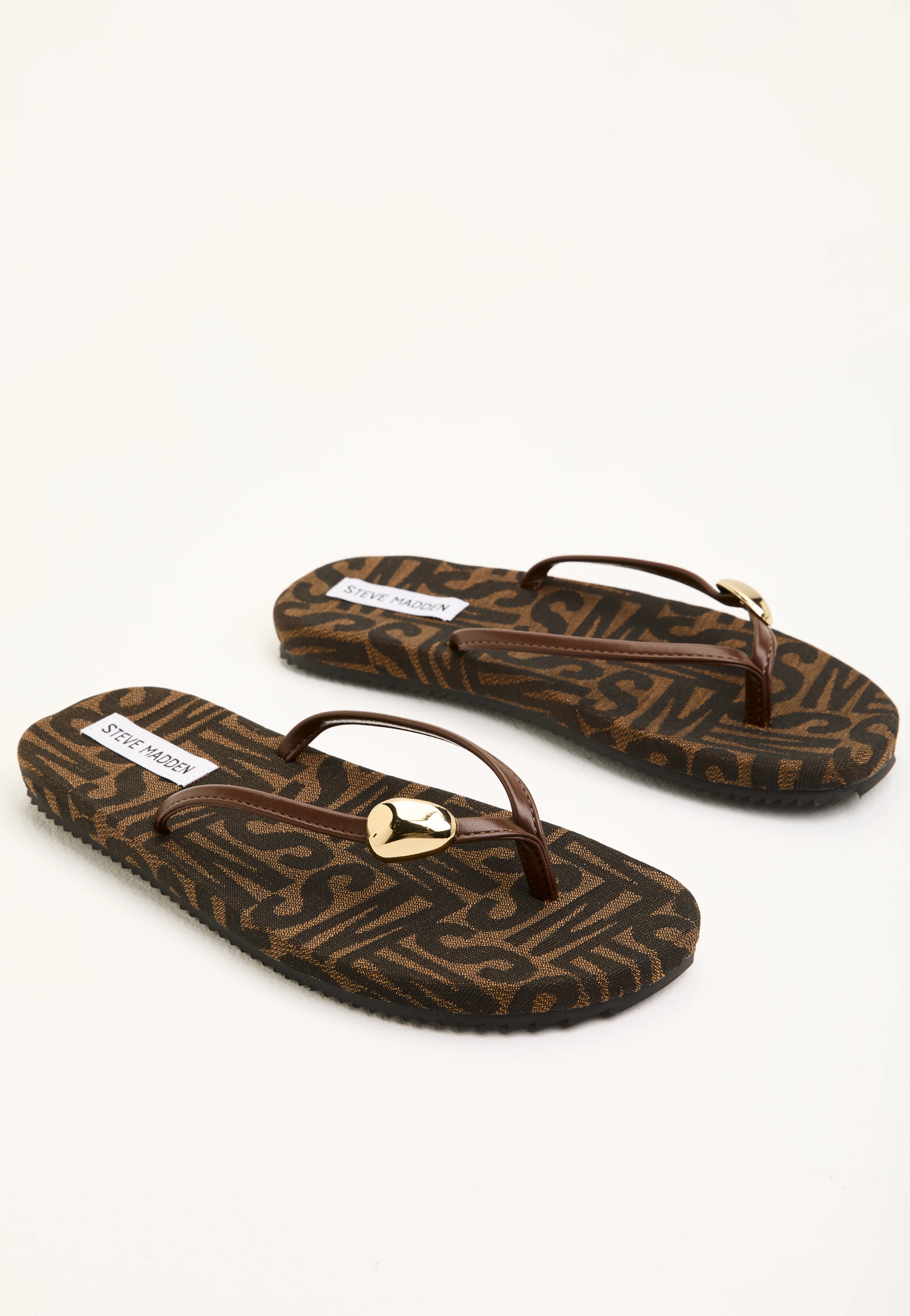 Surfup - Image 4