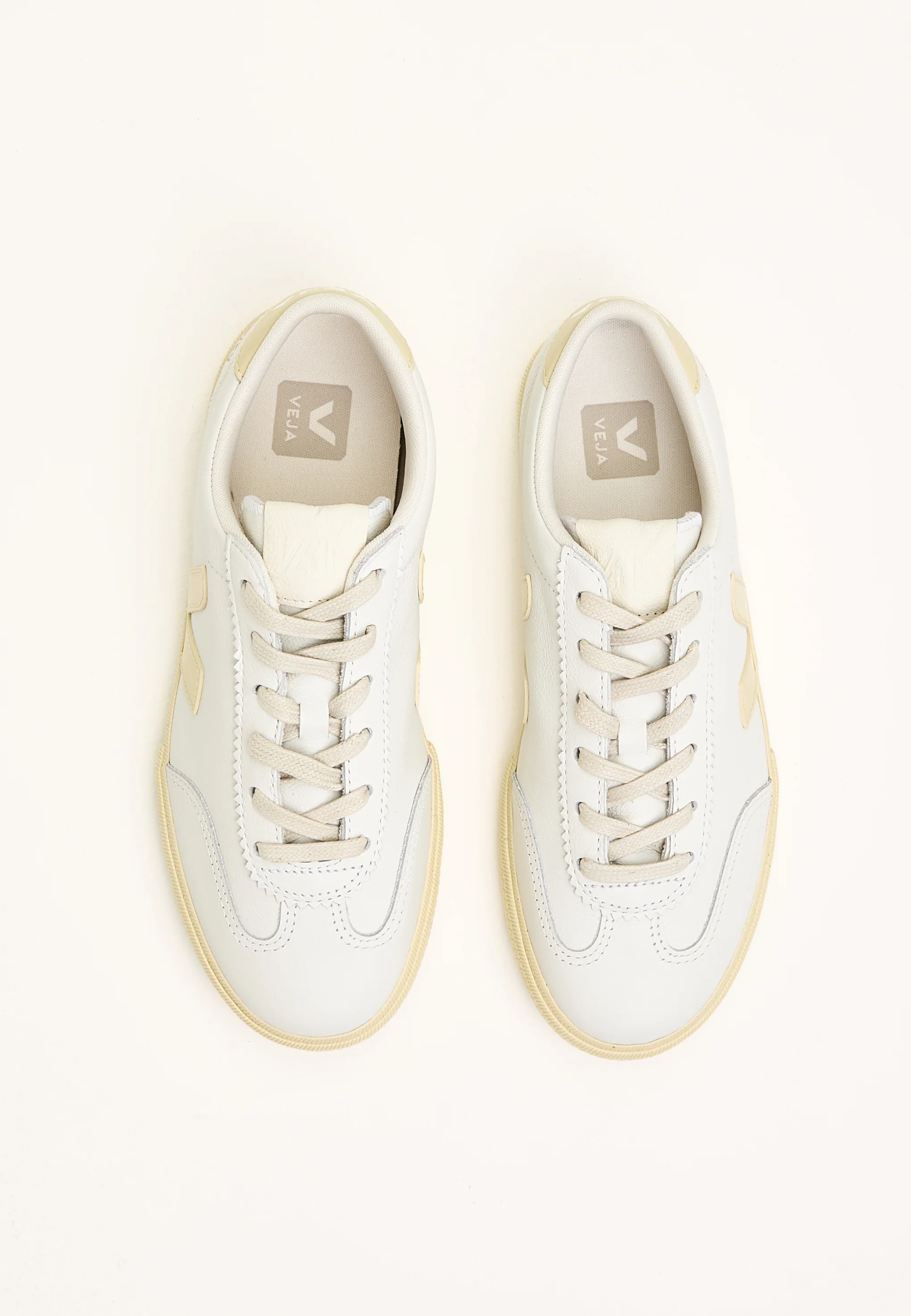 Volley Signature - Image 5
